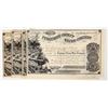 Image 1 : Tuolumne County Water Company Stock Group (5) (Gold Rush) [200857]