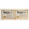 Image 1 : Anaconda Gold Mining Company Stocks Signed by David Moffat [201101]