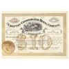 Image 1 : Chieftain Consolidated Mining Company Stock Certificate [200867]