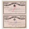 Image 1 : Sierra Nevada Consolidated Mining Co. Stock Pair, 1888 [201691]