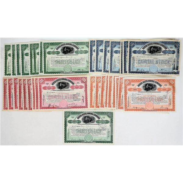 North Butte Mining Company Stocks [195036]