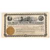 Image 1 : The Nevada Homestake Mines Co. Stock [200646]