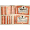 Image 1 : Tonopah Extension Mines inc. Stocks, Blank [198958]