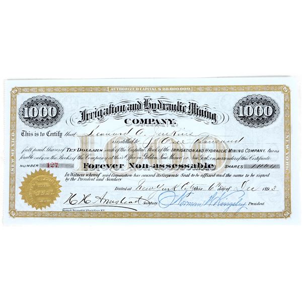 Irrigation & Hydraulic Mining Co. Stock [195029]