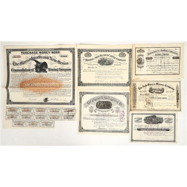 New Mexico Mining Stock Collection [200181]