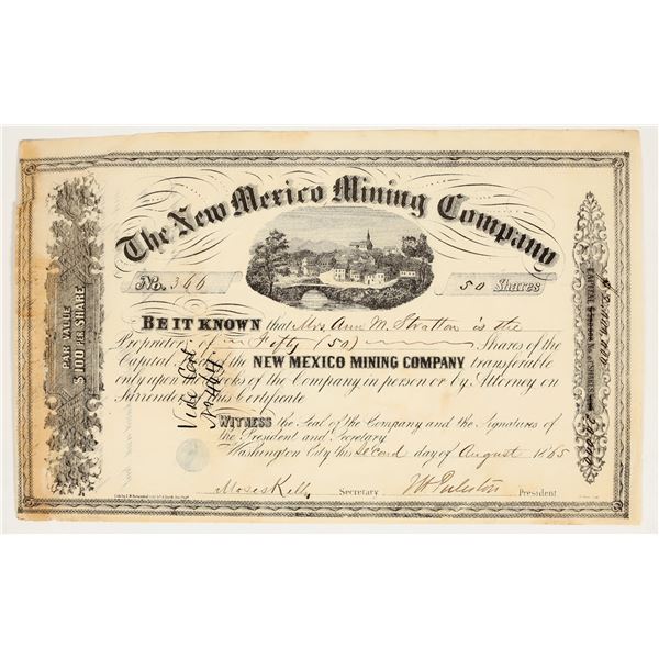 The New Mexico Mining Company Stock [199347]
