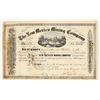 Image 1 : The New Mexico Mining Company Stock [199347]