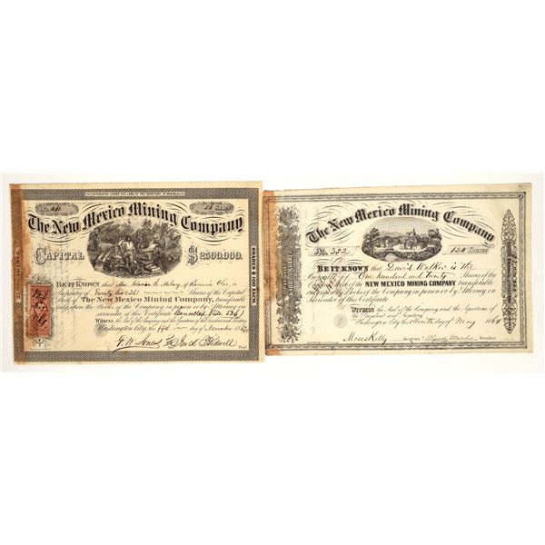 The New Mexico Mining Company Stocks [199348]