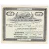 Image 1 : Calapooia & Blue River Mill & Mining Company Stock Certificate, 1925 [201705]