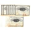 Image 1 : Rochester Black Hills Gold Mining Company Stock Certificates (14) [198230]