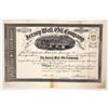 Image 1 : Jersey Well Oil Stock, 1866 [191638]