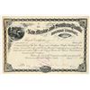 Image 1 : New Mexico & Southern Pacific Railroad Company Stock Certificate, 1894 [201789]