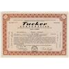 Image 1 : Tucker Corp. Stock Certificate [200202]