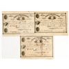Image 1 : Bank of Charleston Stocks [199302]
