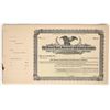 Image 1 : Desert Land, Reservoir and Canal Company Stock Certificates (35) [197589]