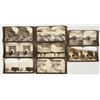 Image 1 : Yellowstone Stereoview Group (8 Different) [202164]