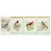 Image 1 : Singer Sewing Machines Bird Cards Group [202292]
