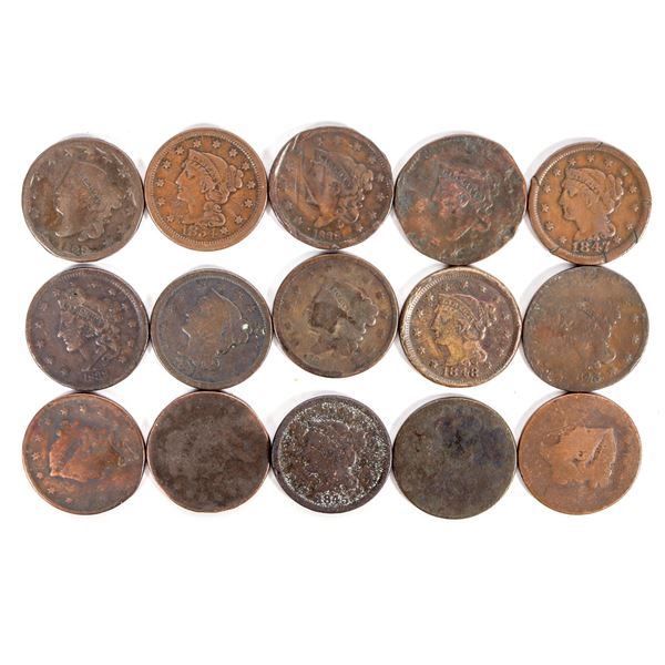 Large Cents (15)  [202437]