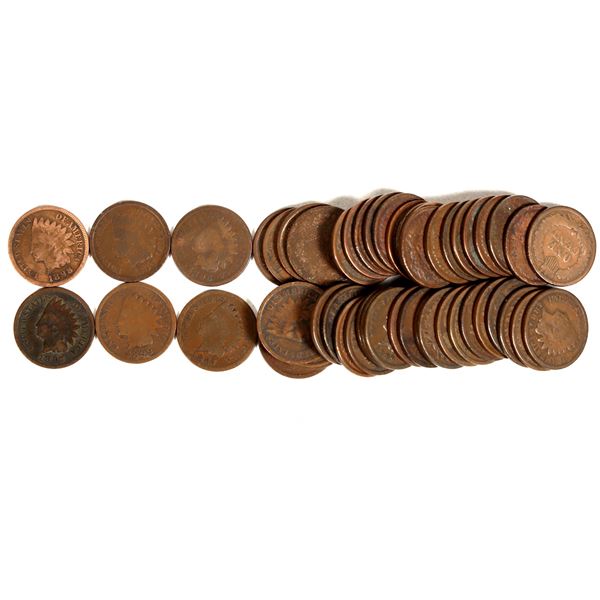 Indian Head Cents 1800s (50) [200555]