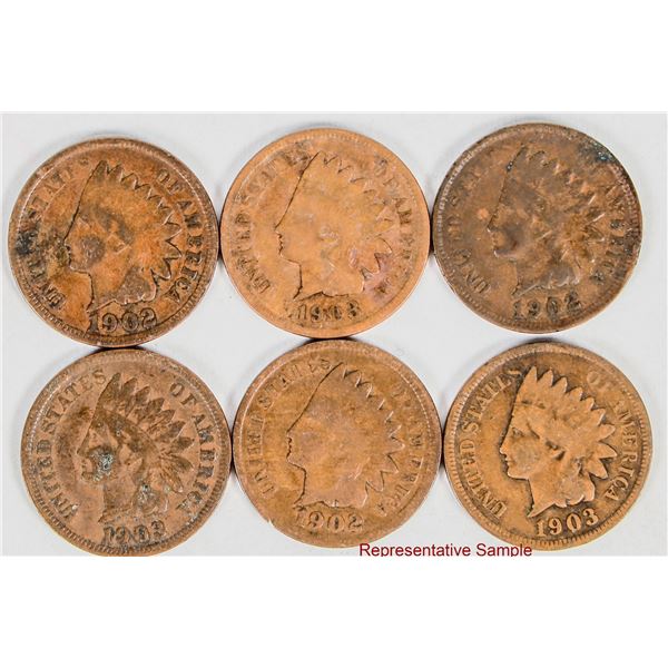 Indian Head Cents Post 1900 (240+) [200959]