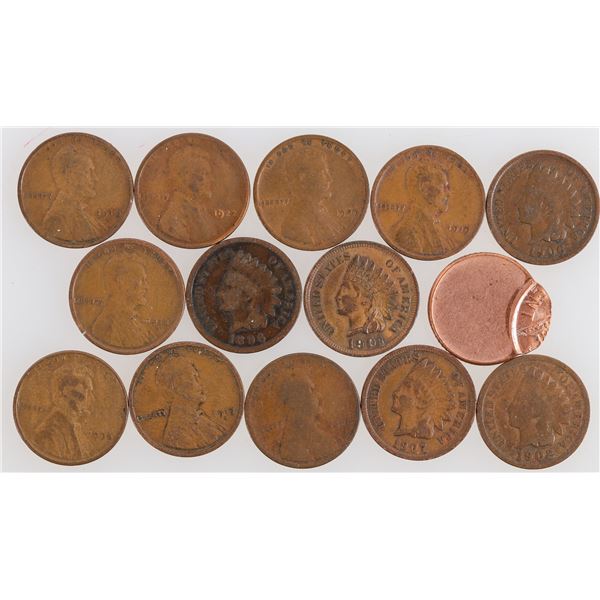Indian Head and Lincoln Cent Group (14) [202084]
