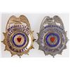 Image 1 : Alderman/City Council Badges (2) [200298]
