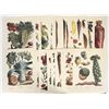 Image 2 : Vilmorin Botanical Print Reproductions [200395]