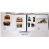 Image 2 : Encyclopedia of Chinese Appreciation Stones, 12 [196126]