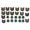 Image 1 : USAF Tactical Command and Master Sergeant Patches.  [201244]