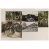 Image 1 : California Hot Springs RPC's c. 1927 [190136]