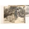 Image 2 : California Hot Springs RPC's c. 1927 [190136]