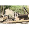Image 2 : Early Postcards of the Logging Donkey Engines and Stem Loaders in the West (32) [200767]