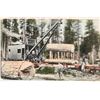 Image 3 : Early Postcards of the Logging Donkey Engines and Stem Loaders in the West (32) [200767]