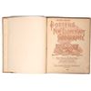 Image 2 : Potter's New Elementary Geography by Morton, 1898 [194161]