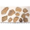 Image 2 : Insect Fossils, 3.2 Pounds, Rare & Better Specimens [194720]