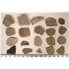 Image 1 : Insect Fossils, 4 Pounds [194641]