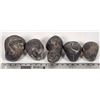 Image 2 : Stringocephalus Fossils, 15 Pounds [194167]