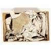 Image 2 : Trilobites, 30 Pounds [194721]