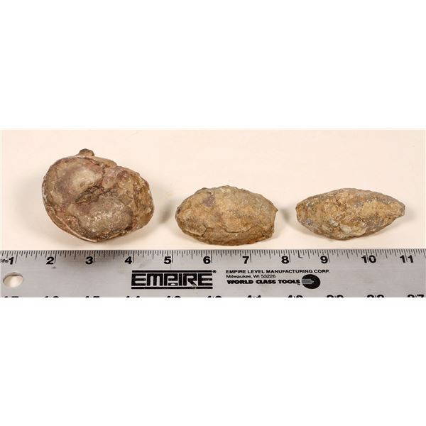 Dinosaur Egg Casts, 3 [194179]