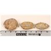 Image 2 : Dinosaur Egg Casts, 3 [194179]