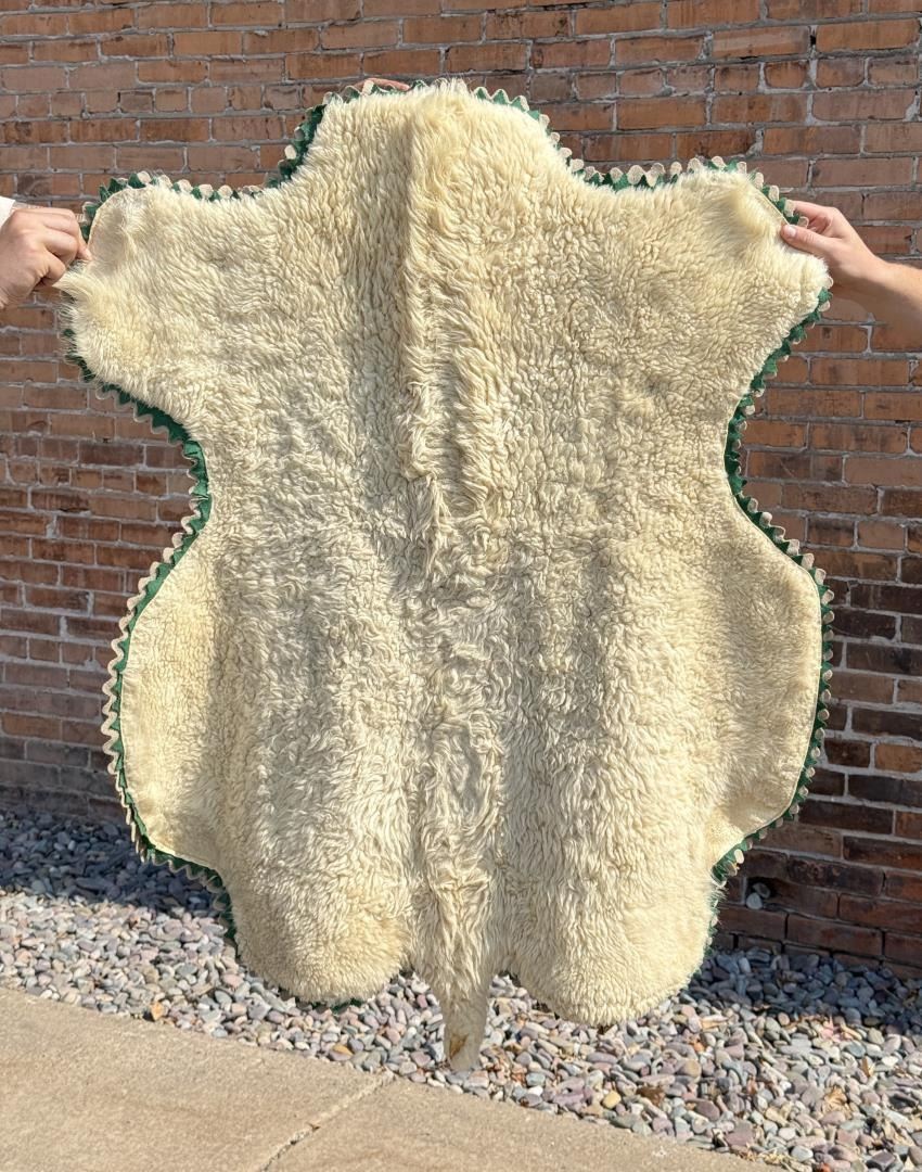 Mount Goat Rug Montana Taxidermy Mountain Goat Rug
