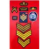 Image 1 : Assorted Police/Military Patches w/ Rank Insignias, RCMP Patches, Marine Patch, & More