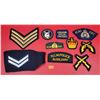 Image 1 : Lot Of 10 Assorted Police/Military Patches Including RCMP