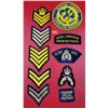 Image 1 : Lot Of 10 Assorted Police/Military Patches Including RCMP