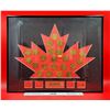 Image 1 : Framed 1998 Team Canada Olympic Winter Games McDonald's Hockey Coins