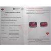 Image 1 : $13,260 Appraisal - 6.63 ct Cert. Mahenge Garnet Gemstone Pair