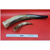 Image 1 : 2 Steer Horns
