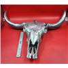 Image 1 : Stainless Steel Steer Decor