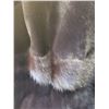 Image 4 : Ladies Reversible Mink Coat A