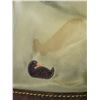 Image 11 : Stingray Skin Handbag & More A